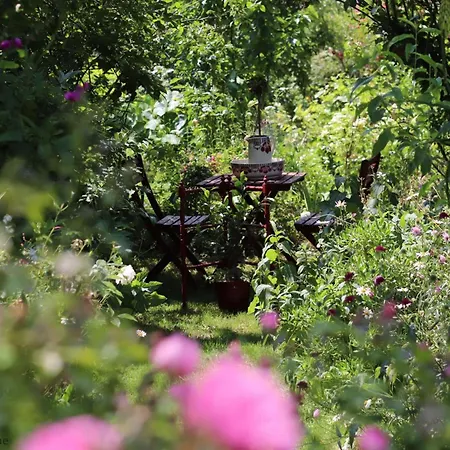 Дом отдыха Maison Historique Du 15eme Siecle Avec Jardin A - Fr-1-497-135 La Carneille