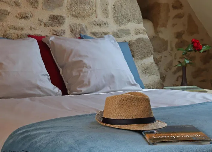 Maison Historique Du 15eme Siecle Avec Jardin A - Fr-1-497-135 *