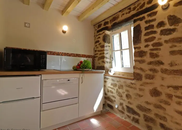 Сasa de vacaciones Maison Historique Du 15eme Siecle Avec Jardin A - Fr-1-497-135