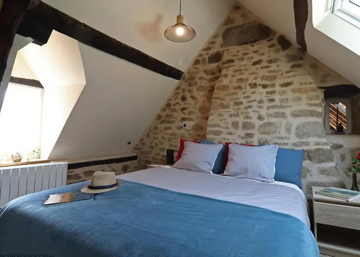 Maison Historique Du 15eme Siecle Avec Jardin A - Fr-1-497-135